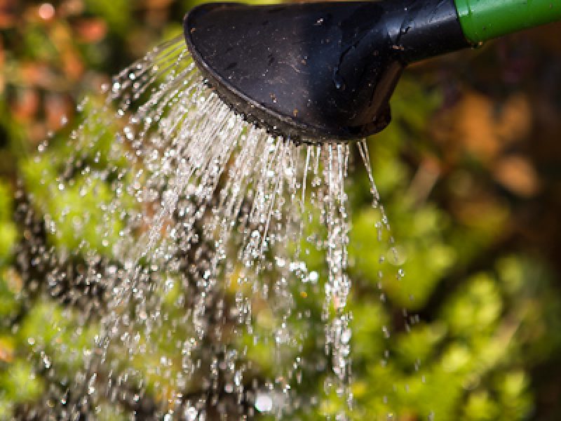 A guide to watering your garden efficiently