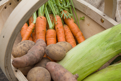 Freshly picked veg.