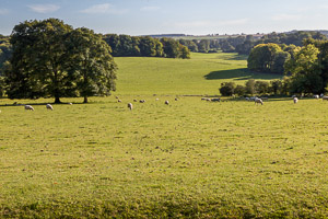 Hampshire countryside from Hinton Ampner by Firgrove Photographic