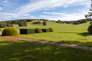 Topiary at West Dean