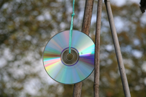 cd