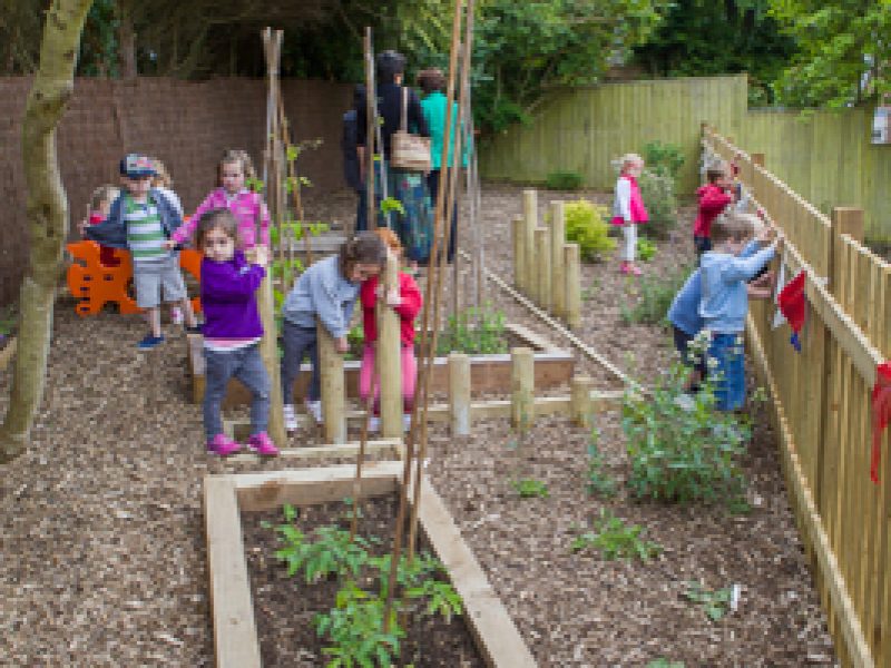Designing and creating a wildlife garden for children – on a shoestring