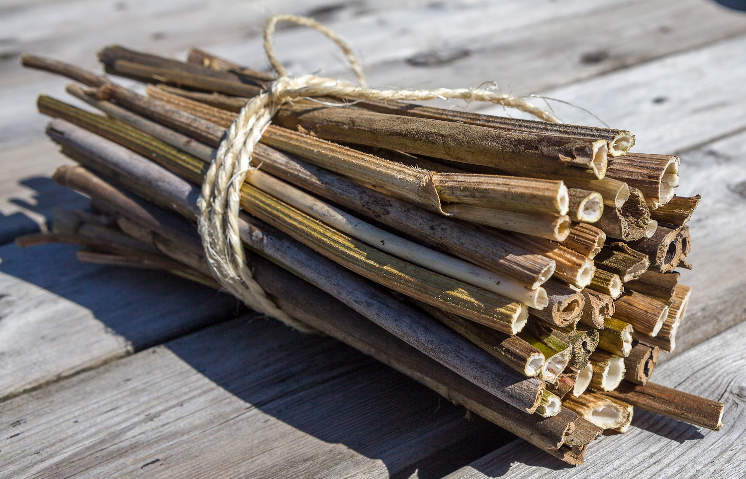 make an insect hotel