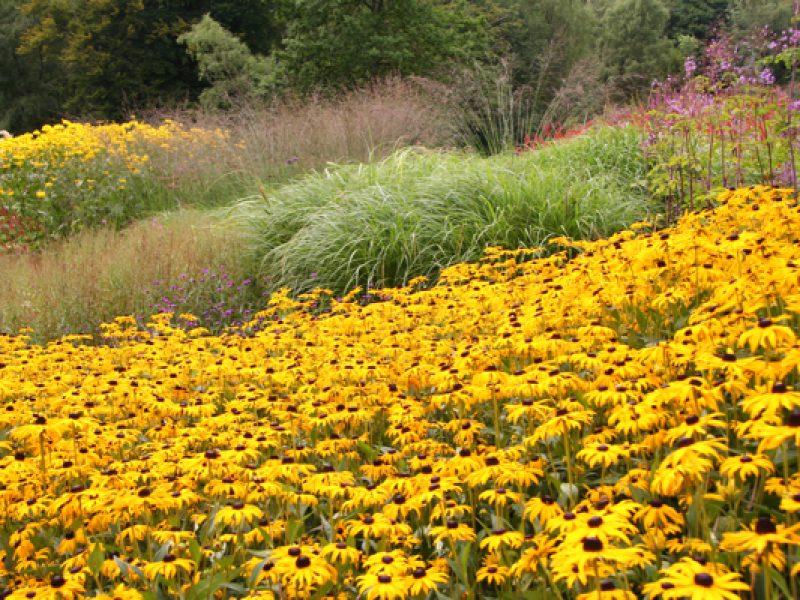 UK gardens to visit in late summer and early autumn