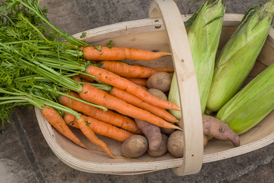 fresh vegetables