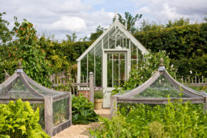 Read more about the article Practical advice on designing and building the right greenhouse for your garden