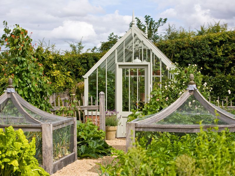 Practical advice on designing and building the right greenhouse for your garden