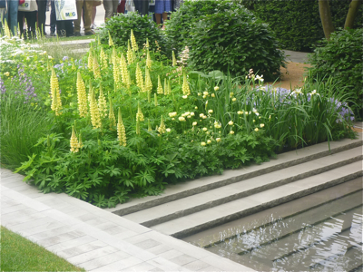 The Laurent Perrier Garden 