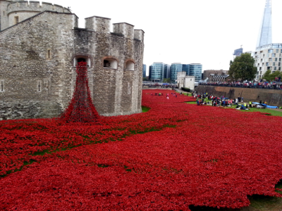 Blood swept lands and seas of red