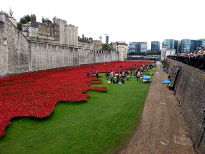 Tower of London poppies