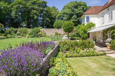 The garden in June, already looking established