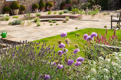 Annual flowers add instant colour and attract butterflies to the garden