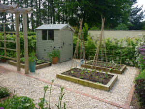 Read more about the article Kitchen Gardens