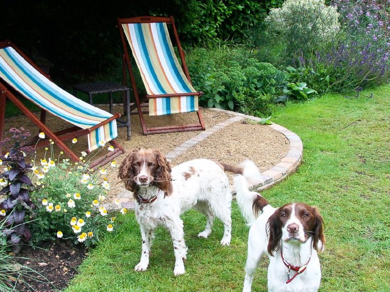 Haslemere, Town Garden