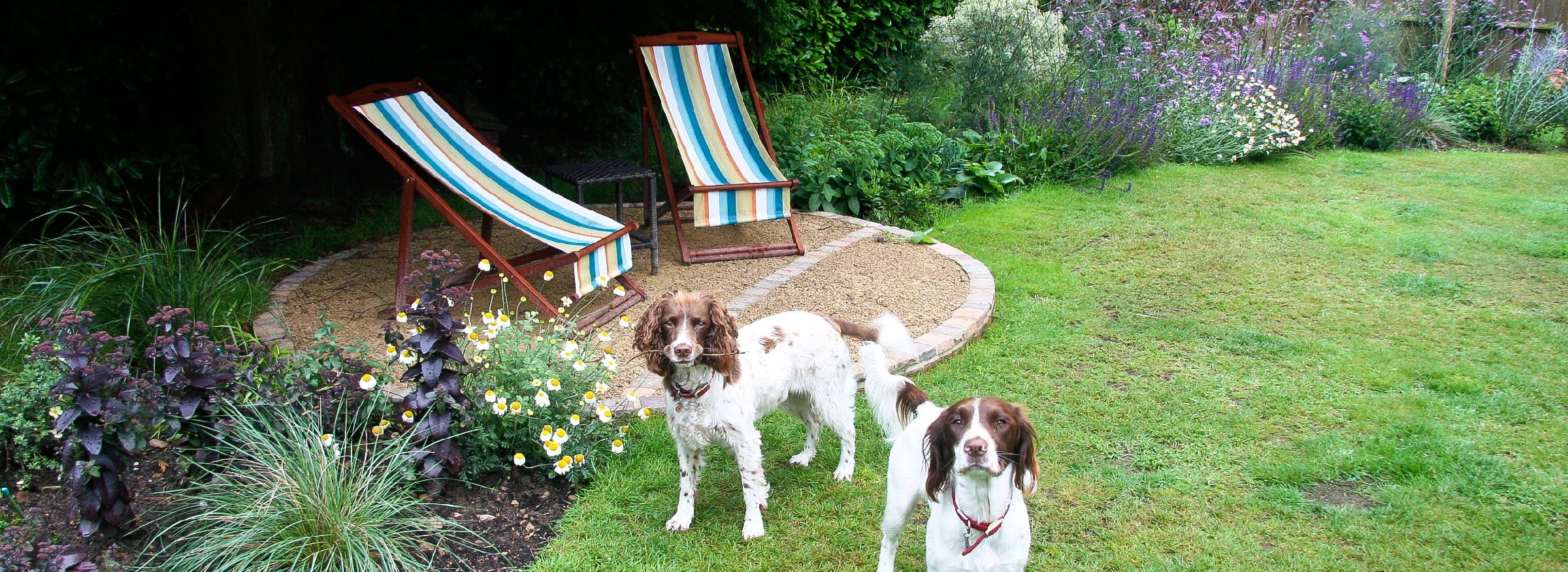 circular seating amongst planting