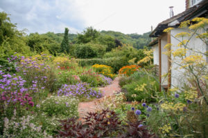 Read more about the article Hawkley, Country Garden