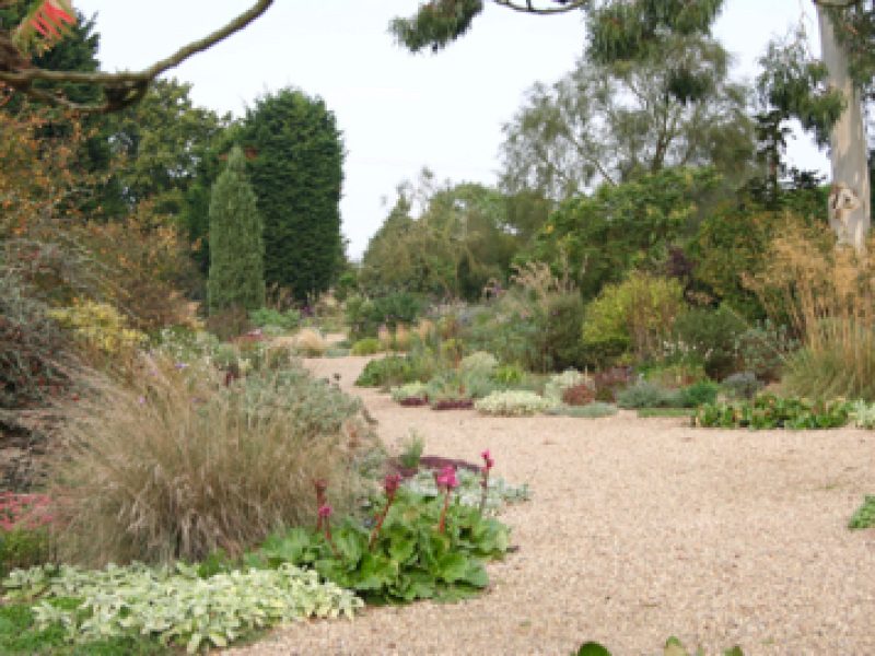 Gardens to visit – The Beth Chatto Gardens, Essex