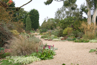 Beth Chatto Garden gravel drought tolerant planting