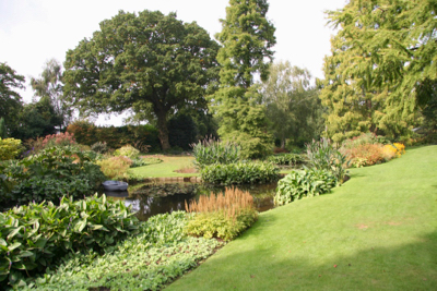 lake marginal planting