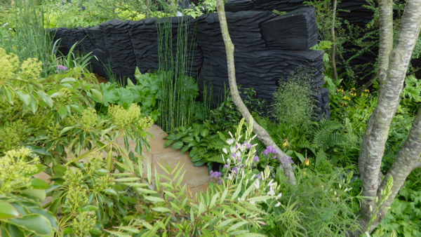 Green planting with the backdrop of burnt timber, simple, bold and very effective.