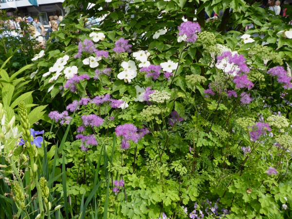 Tom Stuart Smith planting