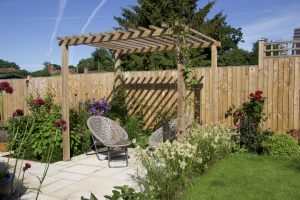 Read more about the article Assorted Town Gardens