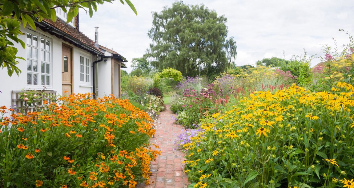 OrangeAndYellowFlowers