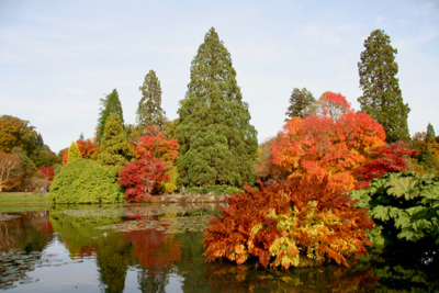 sheffield park lake foliage colour