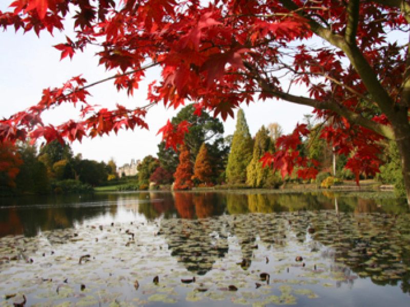 Gardens to visit – Sheffield Park