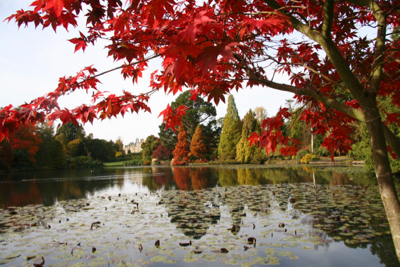 sheffield park landscape garden